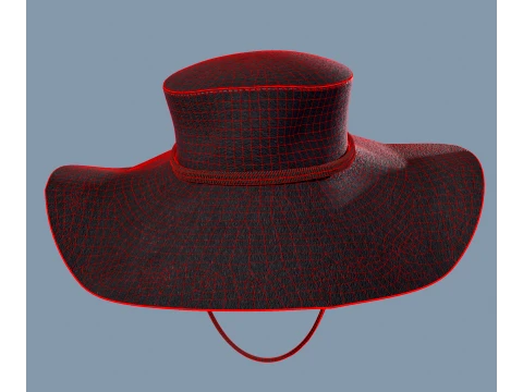 Western hat stetson 3D Model