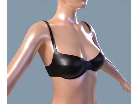 Womens sweasuit and underwear 3D Model