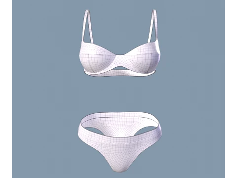 Womens sweasuit and underwear 3D Model