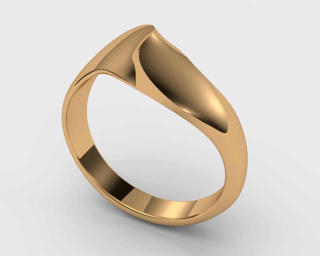 Double face ring Modèles 3D en vedette .c4d .max .obj .3ds .fbx .stl .blend 