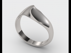 Double face ring Modèles 3D en vedette