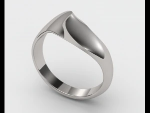 Anillo de doble cara Modelo de impresión 3D