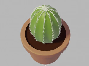 cactus 3D Model
