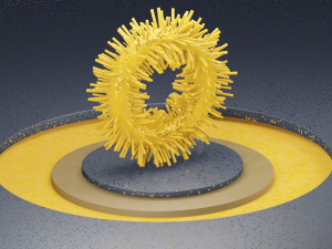 brush 3D Model