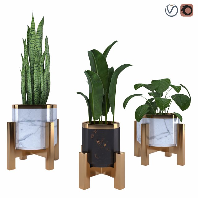 plantset1 Model 3D .c4d .max .obj .3ds .fbx .stl .blend 