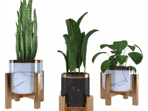 plantset1 Modello 3D