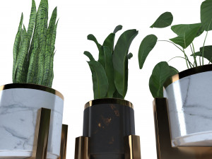 plantset1 Model 3D