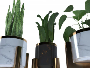 plantset1 3D Model