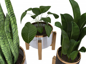 plantset1 Model 3D