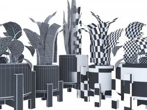 plantset1 3D Model