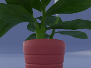 spatifillum plant Modelo 3D