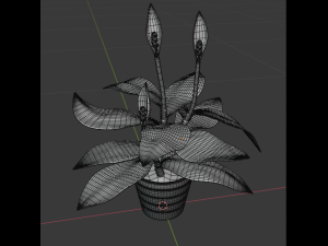 spatifillum plant Modelo 3D