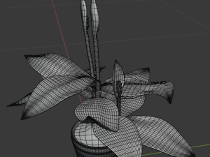 spatifillum plant Modelo 3D