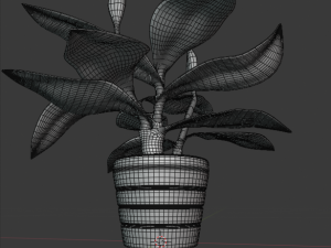 spatifillum plant Modelo 3D