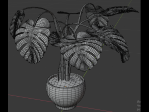 monstera plant Model 3D