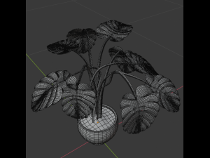monstera plant Model 3D