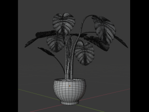 monstera plant Model 3D