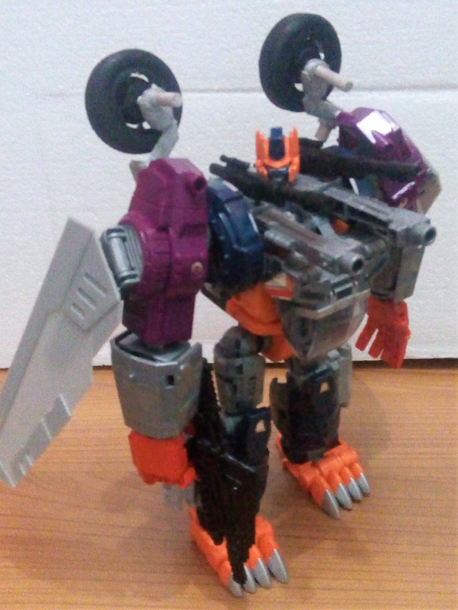 Potp discount optimal optimus