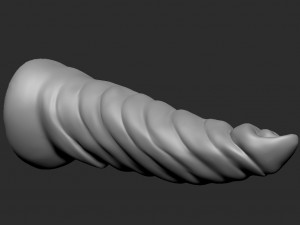 3d dildotoy fluted tentacle 3Dモデル