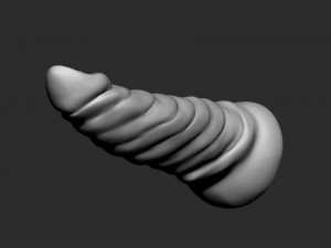 3d dildotoy fluted tentacle 3Dモデル