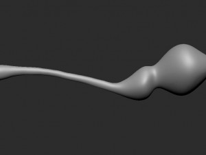 3dtoy women vaginal balls 3D Model