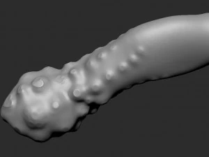 3d dildotoy tentacle with heartsbubbles 3D Model