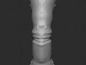 3d dildotoy fluted tentacle dragon 3D Model