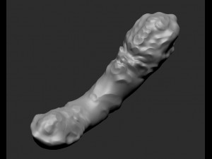 3d dildotoy fluted tentacle dragon 3D Model