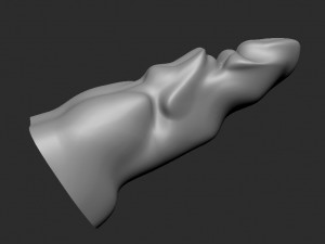 3D Dildo toy tentacle 3D Модель