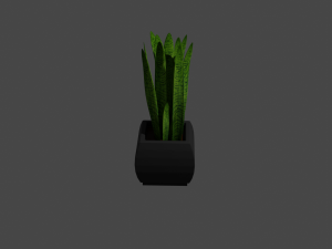 plant 3Dモデル