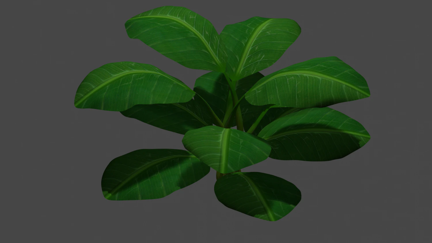 bush 3D Model .c4d .max .obj .3ds .fbx .stl .blend 