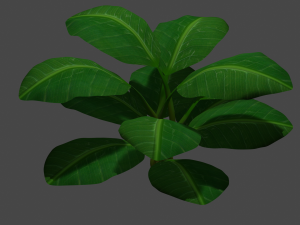 bush Modello 3D