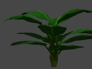 bush 3D Model