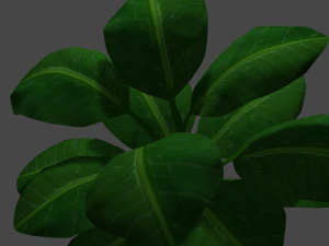 bush 3D Model