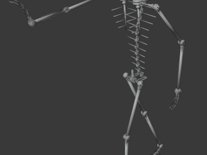 rob 3D Model