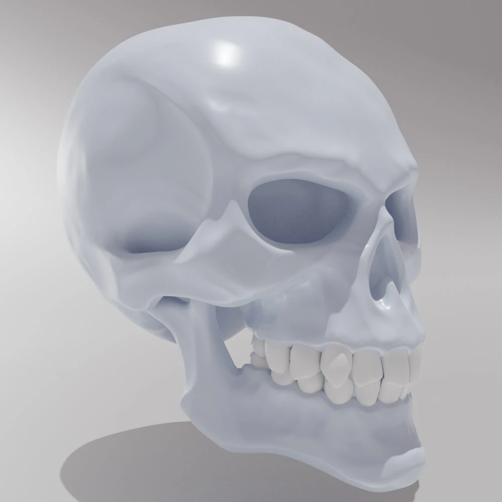 stylized skull 3D Model .c4d .max .obj .3ds .fbx .stl .blend