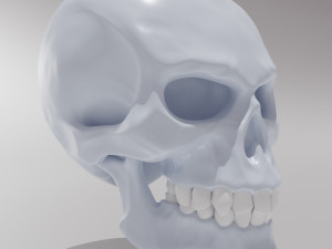 stylized skull 3D 模型