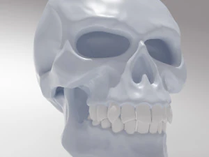 stylized skull 3D Model