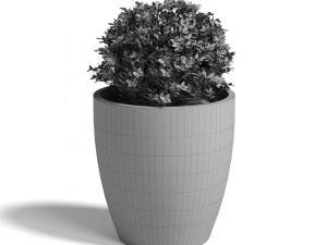 garden ultra hd Model 3D