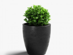 garden ultra hd Model 3D