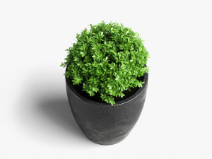 garden ultra hd Model 3D