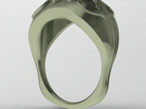 Convex ring three pieces 3D Print Model