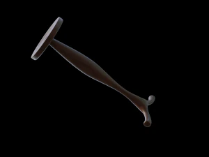WOODEN HANGER 3D Print Model
