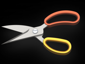 Scissors Only 3D Print Model