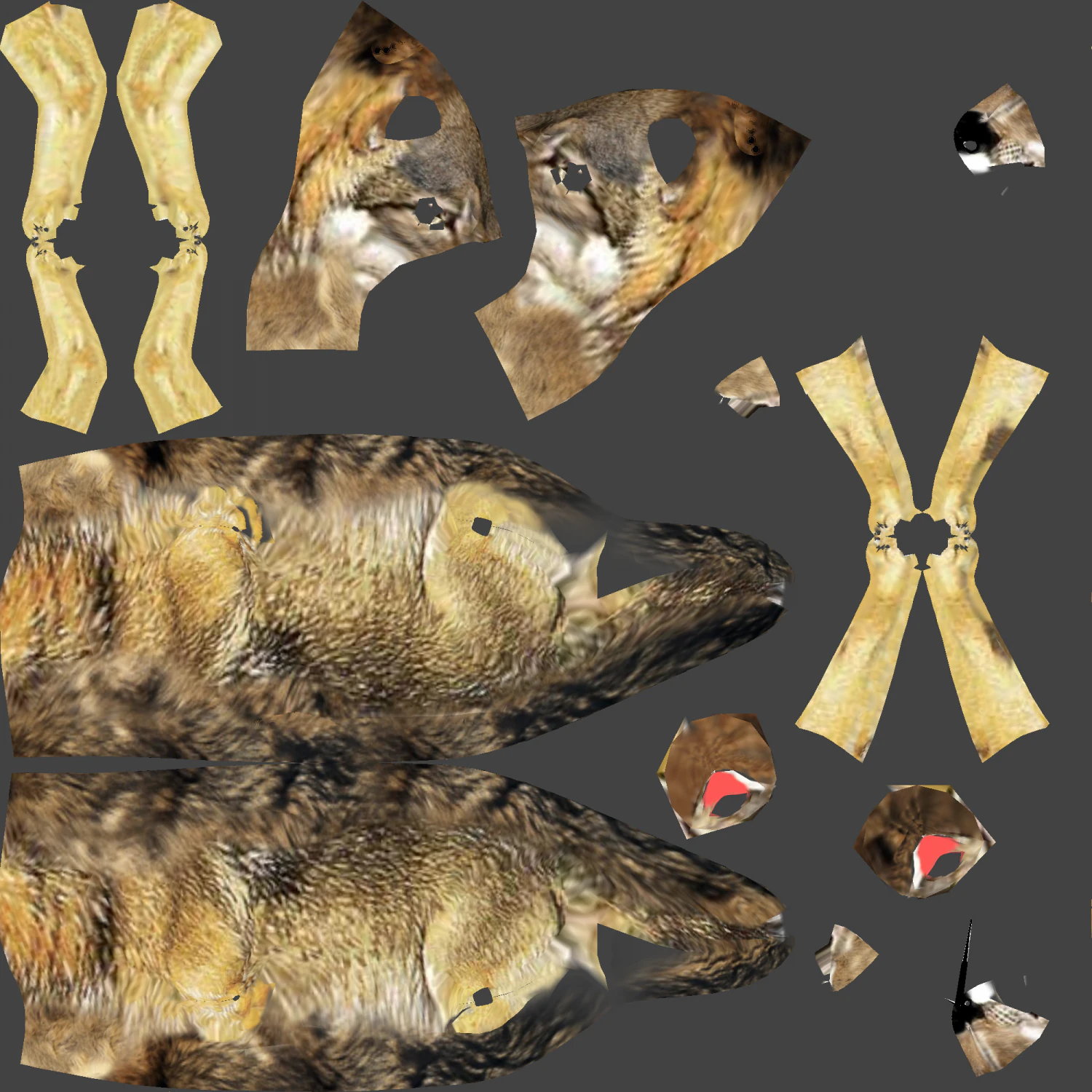 tekstury wilka CG Tekstury .c4d .max .obj .3ds .fbx .stl .blend