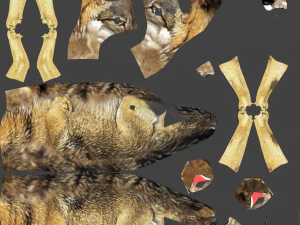 tekstury wilka CG Tekstury