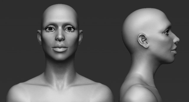 female head Model 3D .c4d .max .obj .3ds .fbx .stl .blend 