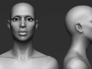 weiblicher Kopf 3D Modell