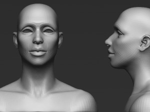 female head Model 3D