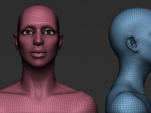 female head Model 3D